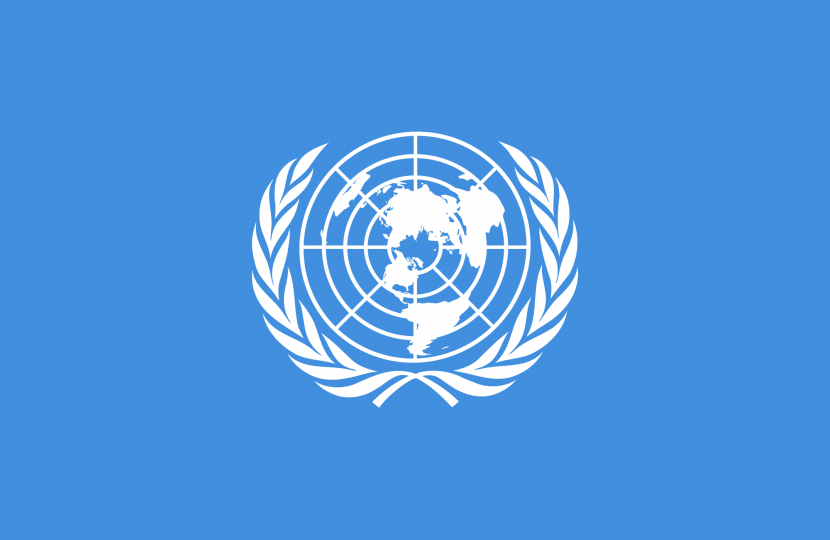 UN logo