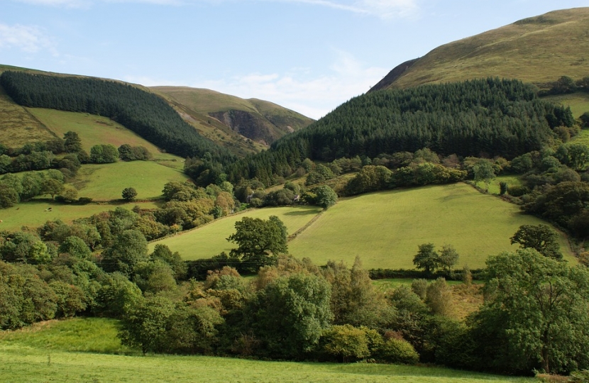 green field landscape