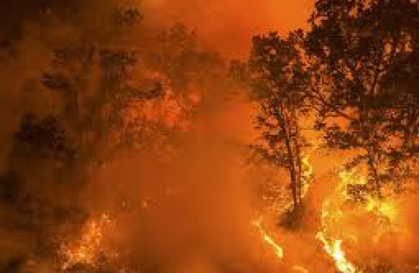 fire